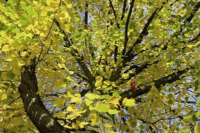 BUITEN BEELD Foto: 215386