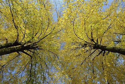 BUITEN BEELD Foto: 215387