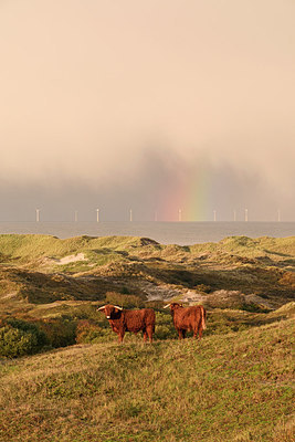 BUITEN BEELD Foto: 215446