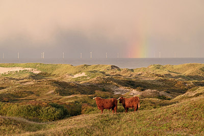 BUITEN BEELD Foto: 215447