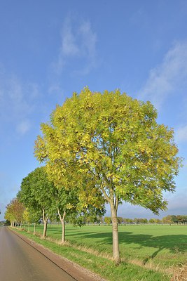 BUITEN BEELD Foto: 215460