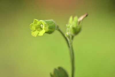 BUITEN BEELD Foto: 215519