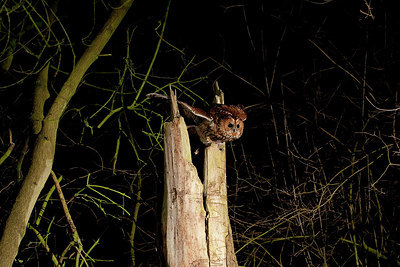 BUITEN BEELD Foto: 215521