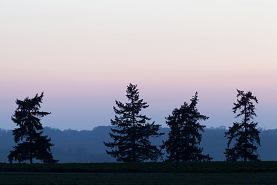 BUITEN BEELD Foto: 215526