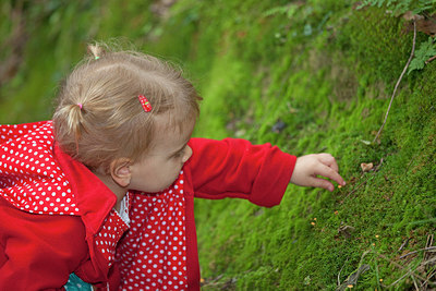 BUITEN BEELD Foto: 215646
