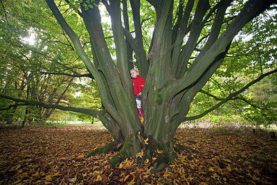 BUITEN BEELD Foto: 215647