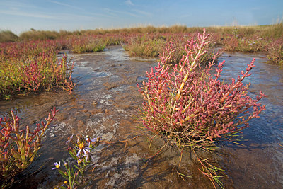 BUITEN BEELD Foto: 215669