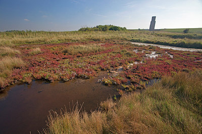 BUITEN BEELD Foto: 215673