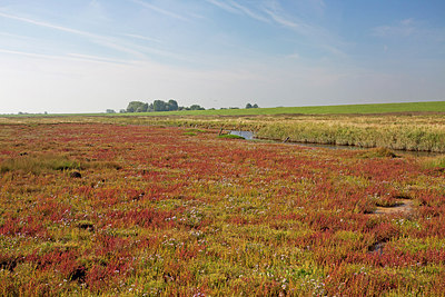 BUITEN BEELD Foto: 215676