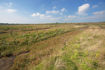 BUITEN BEELD Foto: 215677