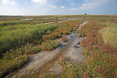 BUITEN BEELD Foto: 215679