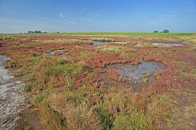 BUITEN BEELD Foto: 215680