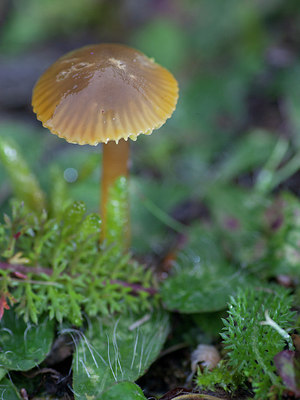 BUITEN BEELD Foto: 215690