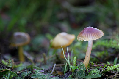 BUITEN BEELD Foto: 215691