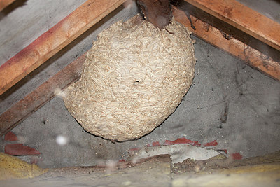 BUITEN BEELD Foto: 215723