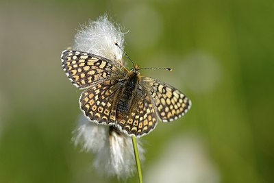 BUITEN BEELD Foto: 215791