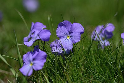 BUITEN BEELD Foto: 215792