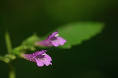 BUITEN BEELD Foto: 215804