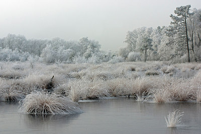 BUITEN BEELD Foto: 215806