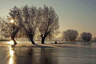 BUITEN BEELD Foto: 215856