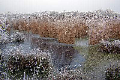 BUITEN BEELD Foto: 215870