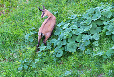 BUITEN BEELD Foto: 215913
