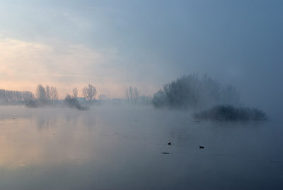 BUITEN BEELD Foto: 215933