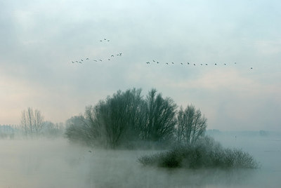 BUITEN BEELD Foto: 215953