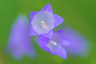 BUITEN BEELD Foto: 215968