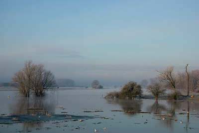 BUITEN BEELD Foto: 215971