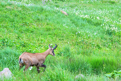 BUITEN BEELD Foto: 215988