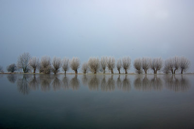 BUITEN BEELD Foto: 216029