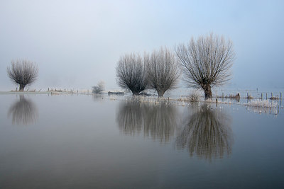 BUITEN BEELD Foto: 216038