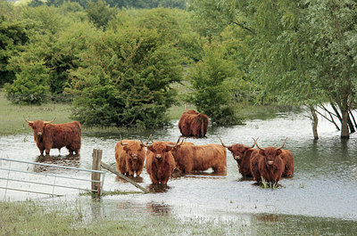 BUITEN BEELD Foto: 216106