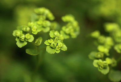 BUITEN BEELD Foto: 216110