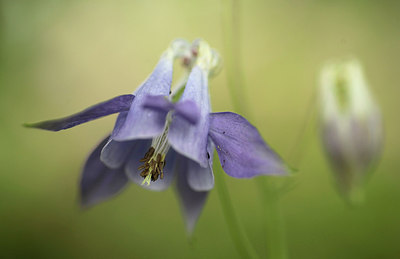 BUITEN BEELD Foto: 216118