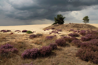 BUITEN BEELD Foto: 216140