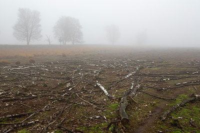 BUITEN BEELD Foto: 216152