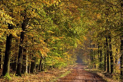 BUITEN BEELD Foto: 216177