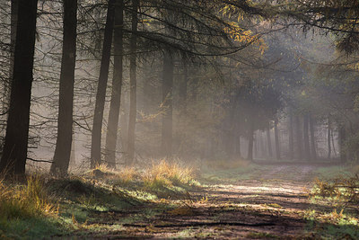BUITEN BEELD Foto: 216180