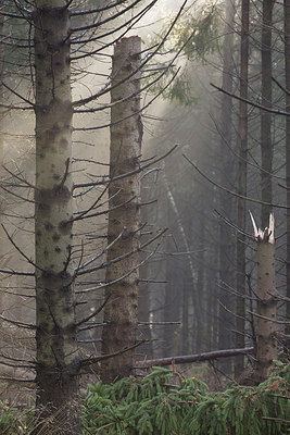 BUITEN BEELD Foto: 216181
