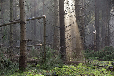 BUITEN BEELD Foto: 216182