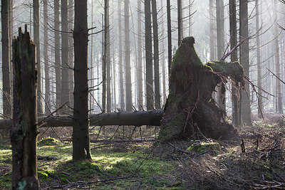BUITEN BEELD Foto: 216184