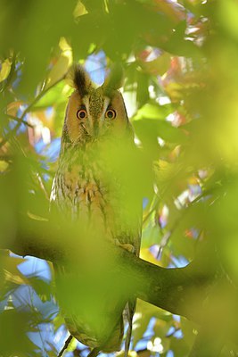 BUITEN BEELD Foto: 216253
