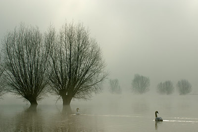 BUITEN BEELD Foto: 216285