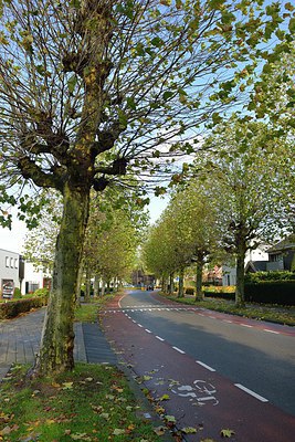 BUITEN BEELD Foto: 216292