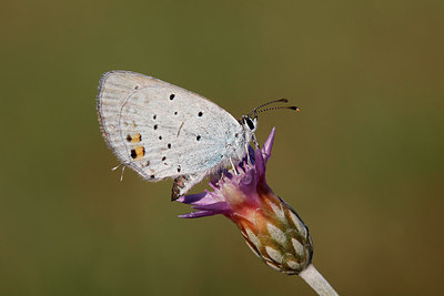 BUITEN BEELD Foto: 216304