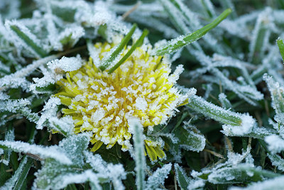 BUITEN BEELD Foto: 216328