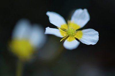 BUITEN BEELD Foto: 216372