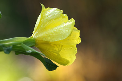 BUITEN BEELD Foto: 216393